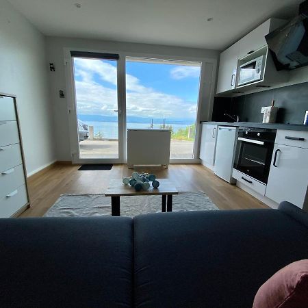 Apartamento Les Vies En Rose Évian-les-Bains Exterior foto